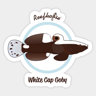 White Cap Goby Sticker